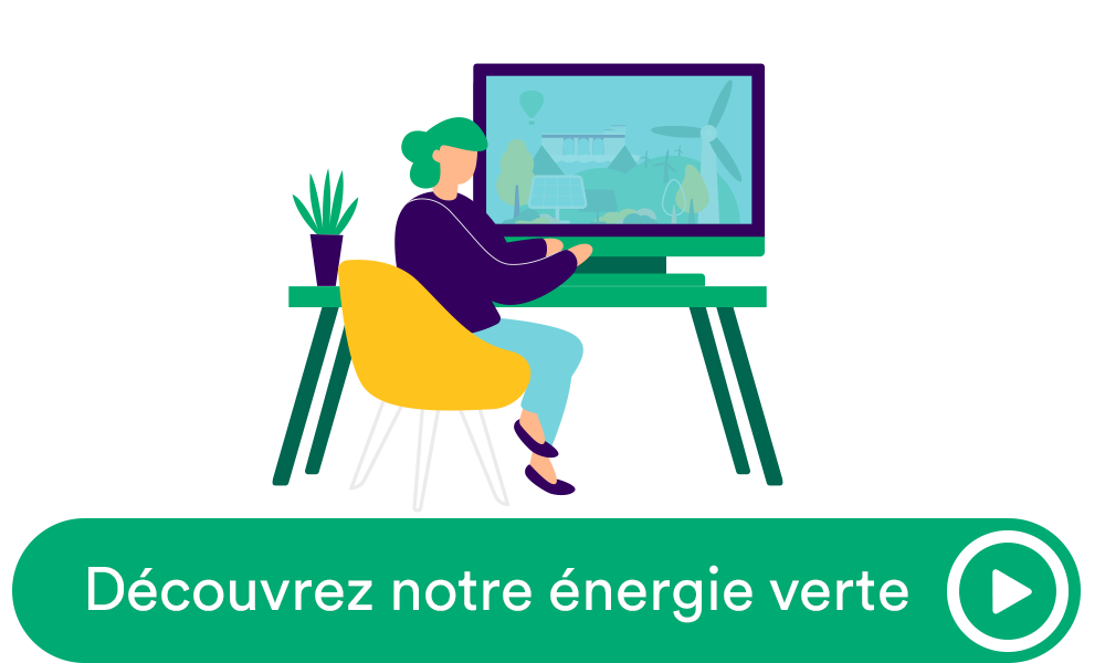 Garantie d'une électricité d'origine renouvelable